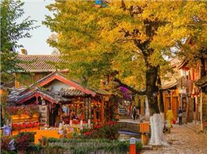 Khám phá Lệ Giang – Shangrila vào mùa thu Trung Quốc